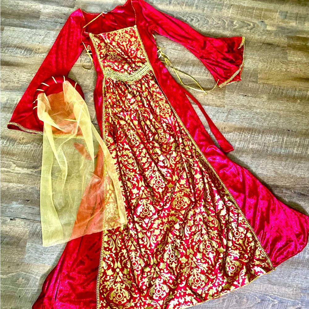 Ladies Renaissance Halloween Gown